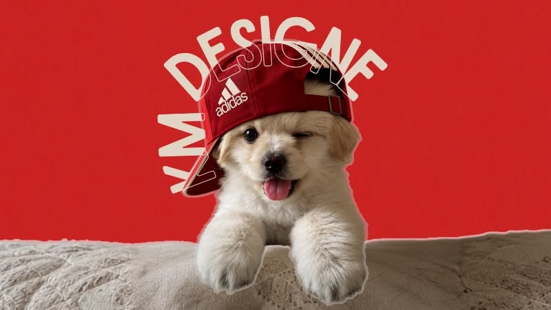 Capa original do Pinterest da KM, com cachorro de boné sobre fundo vermelho
